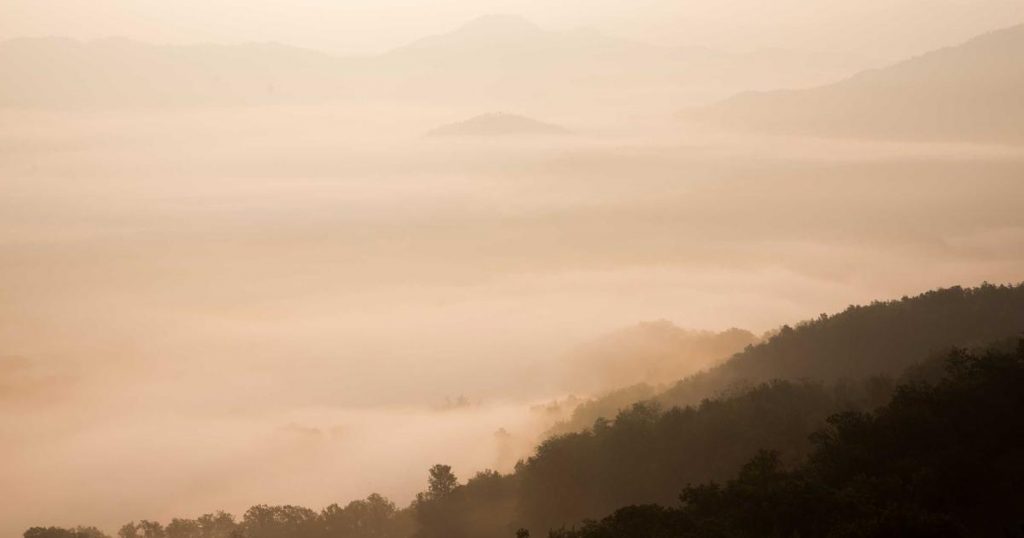 Best Kids Friendly Hotels in Jeju Island