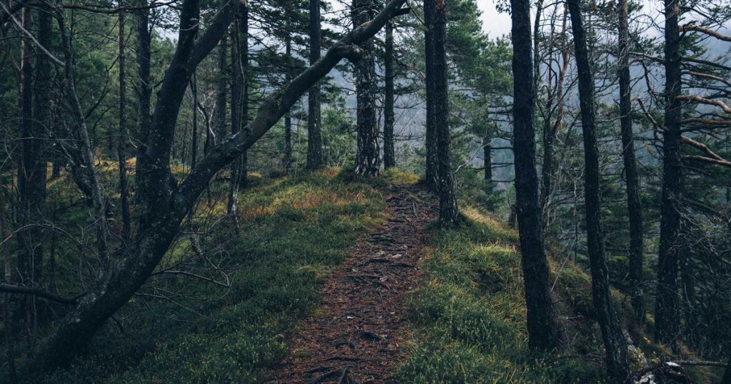 Best Korean Sheet Masks for Dry Winter Skin