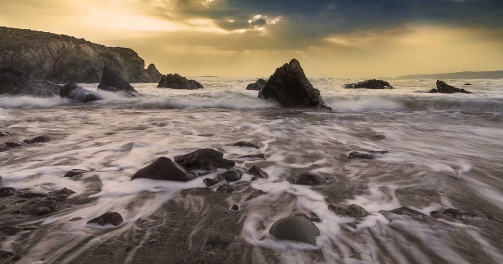 Emis Caps: Why Every Korean Celebrity Wears Them