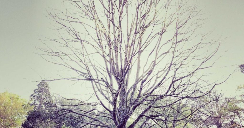 Jisoo’s “Boyfriend on Demand” on Netflix: Everything You Need to Know Before March 6