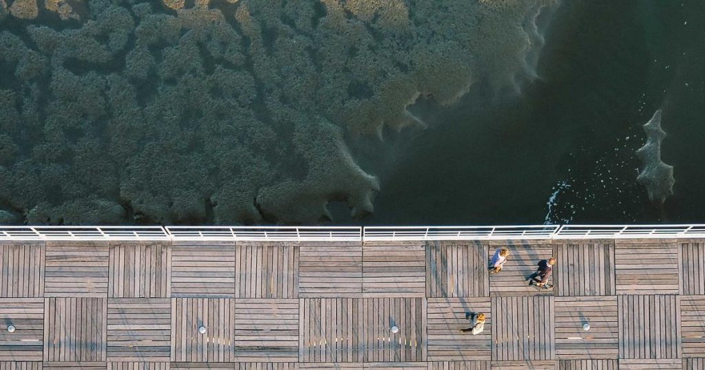 Korean Baby Formula Trends: Aptamil vs Domestic Brands