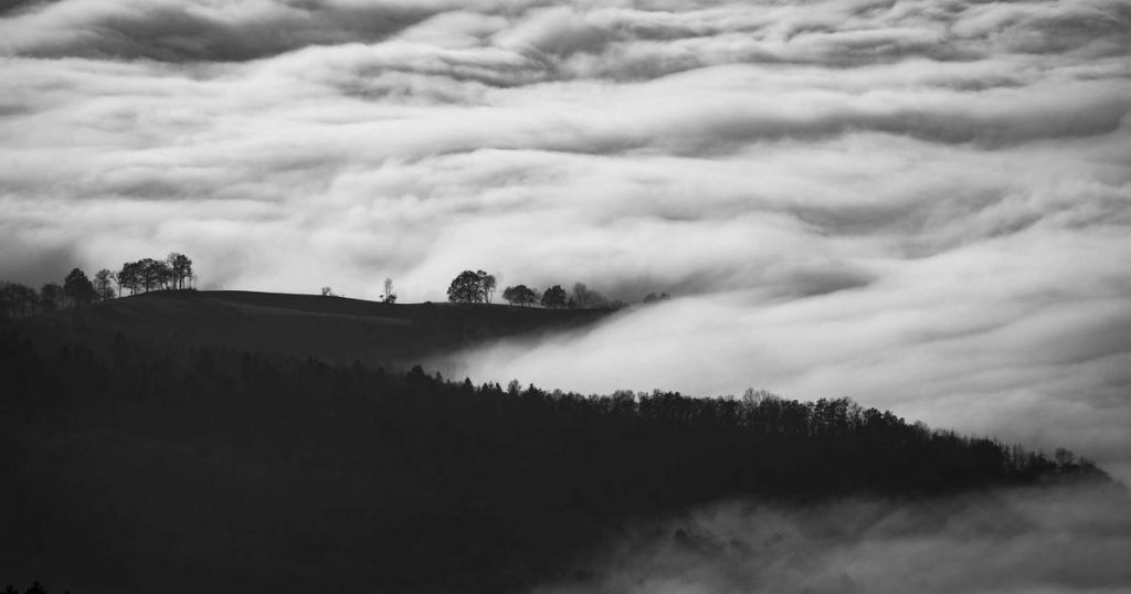 Korean Baby Led Weaning (BLW) Recipes