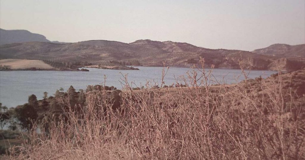 3 Korean Baby Products That Changed My Life (Honest Review 2026)