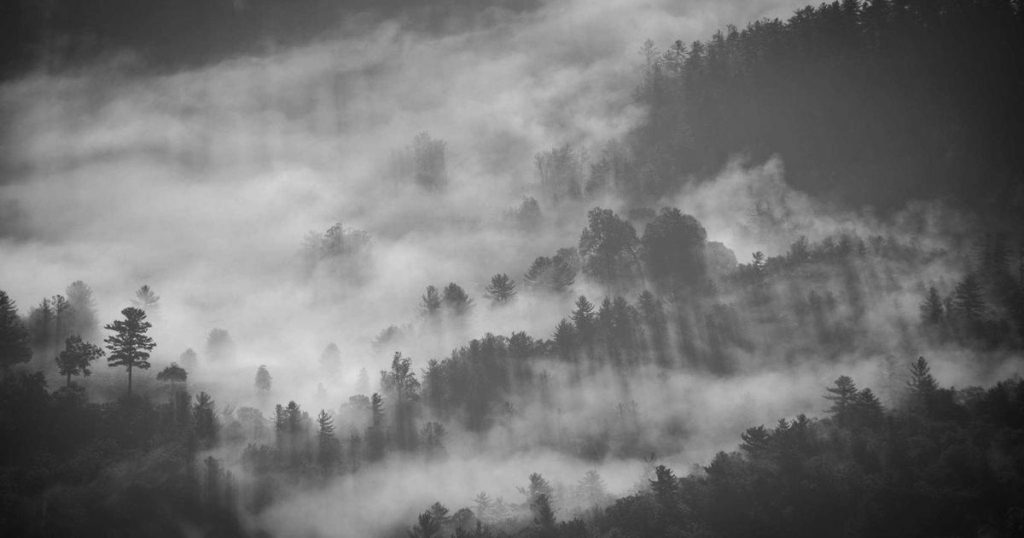 Korean Postpartum Massage: Gwarsha and Stone Therapy