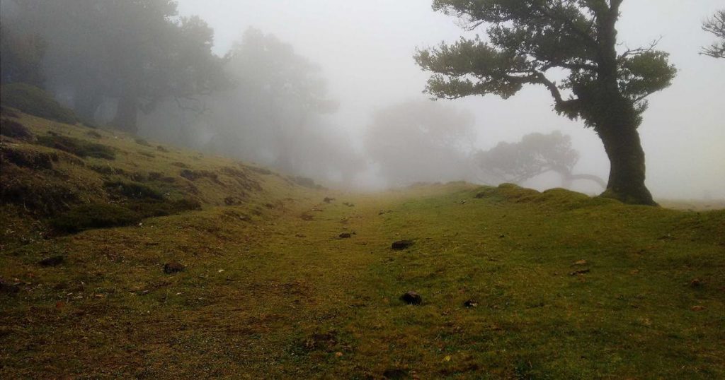 Korean Retinal vs Retinol: Which One is Better?