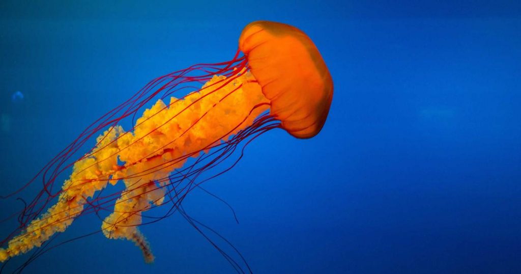 Most Popular Korean Baby Names in 2026