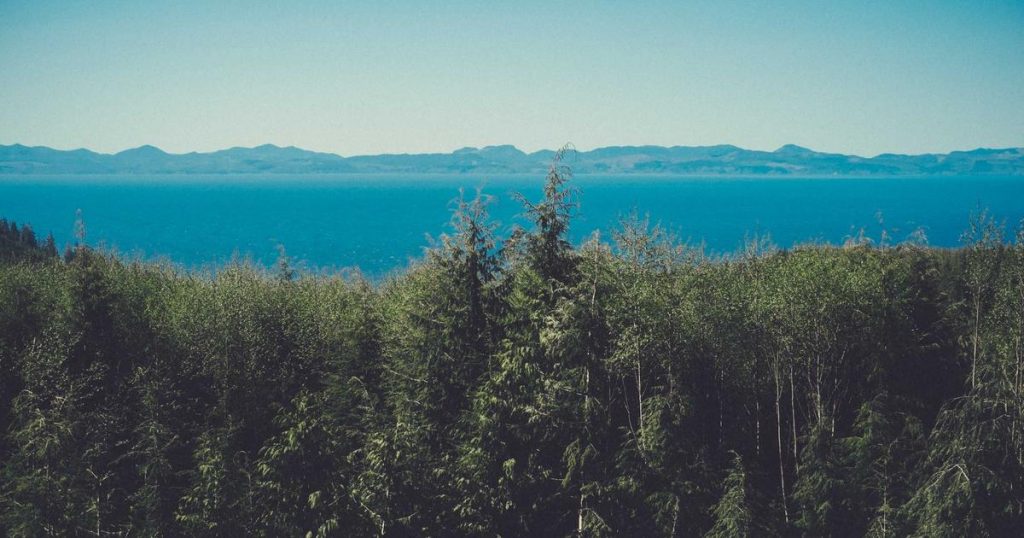 Reedle Shot 100 vs 300: Which VT Essence to Start With?