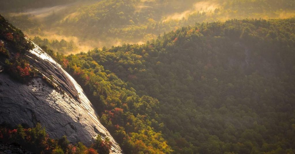 Seongsu-dong Shopping Guide: Best Pop-up Stores