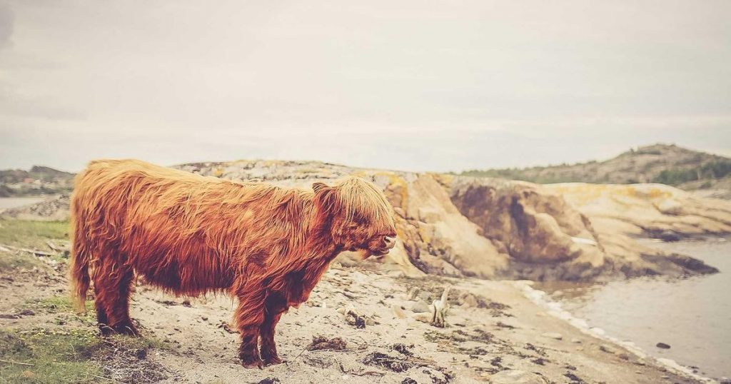 Seoul Fashion Week FW26: The Designers and Trends That Stole the Show