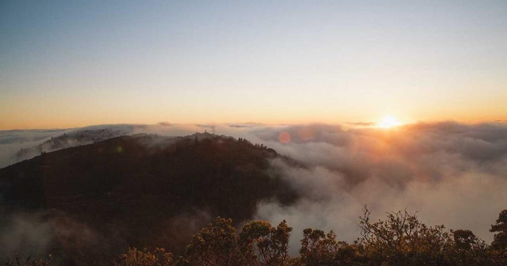 Study Cafe Culture for Students: Is It Too Intense?