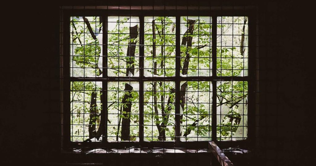 What is a ‘Doljanchi’? Celebrating the First Birthday in Korea