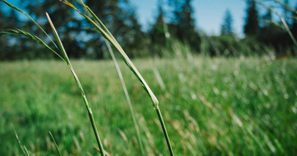 Where to Buy Modern Hanbok for Babies