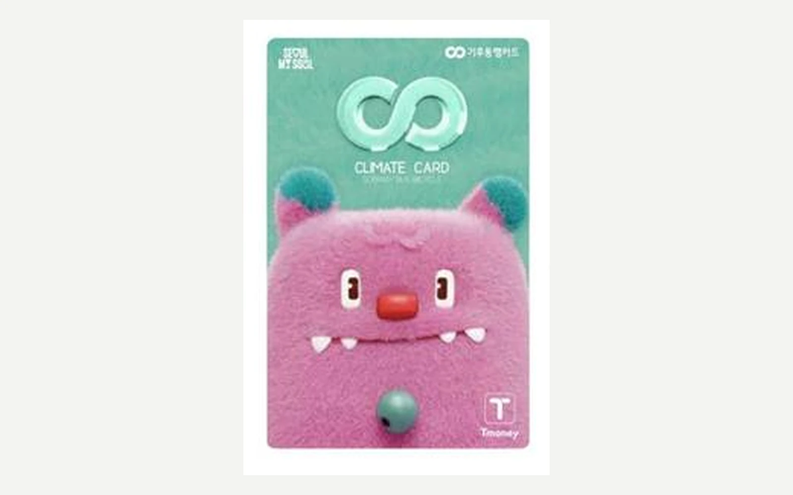 Official green Seoul Climate Card tourist pass with a pink character on the front
