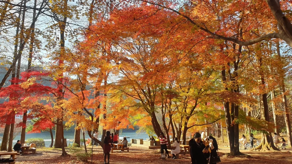 People at a lakeside picnic area on Nami Island in an autumn 2024 archival photograph